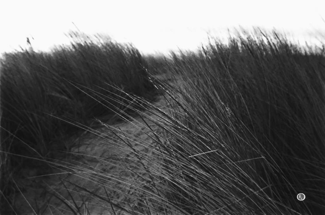 Am Strand - Bensersiel